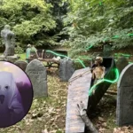 North London Halloween 2025: Safety and Noise Debate