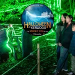 North London Kenwood House Halloween Trail 2025
