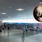 £13.8 Million Cannabis Seized at Birmingham Airport in Major Organised Crime Bust