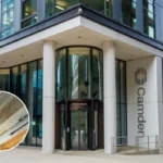 Camden Council Fails Leak Repair, Ceiling Collapses in North London