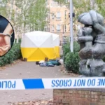 Man Arrested for Islington Elthorne Park Stabbing Incident