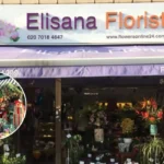 North London Flower Shops: History, Culture & Top Picks