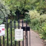 Barnsbury Wood: North London's Tiny Winter Walk Gem