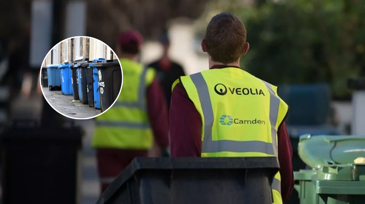 Camden Christmas Bin Changes & Tree Disposal Rules