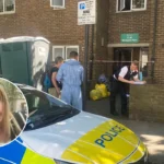 Camden Woman Accused of Killing Film Director Sister Over Diamond Rolex