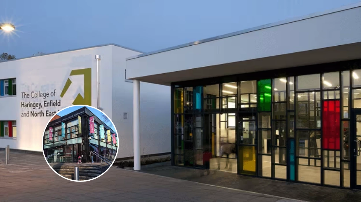 College of Haringey, Enfield & North London: Ultimate Guide