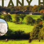 Discover Botany Bay: North London's Hidden Hamlet Gem 
