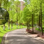 Haringey Green Spaces in North London: Parks and Woods