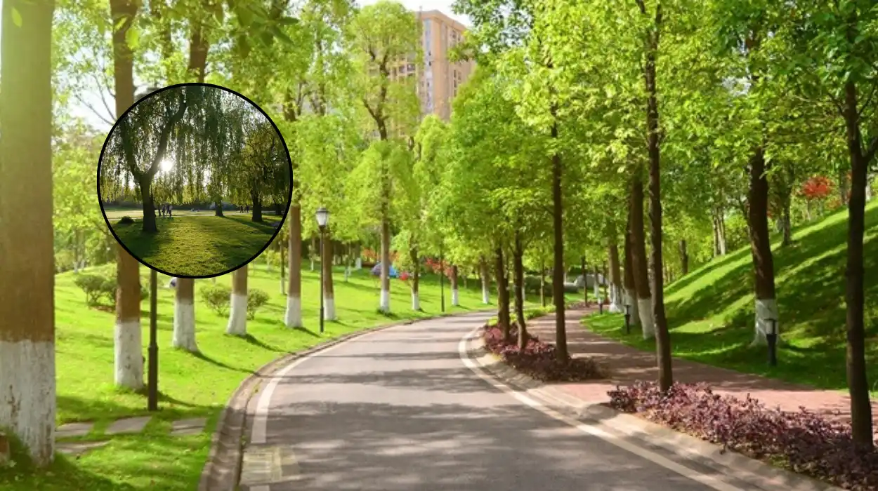 Haringey Green Spaces in North London: Parks and Woods