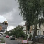 Haringey Parking Suspensions: North London Roadworks January 2026