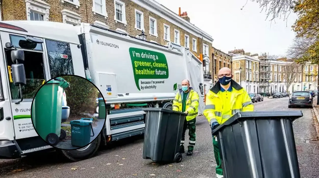 Islington Bin Changes: Christmas, New Year & Tree Drop-Offs