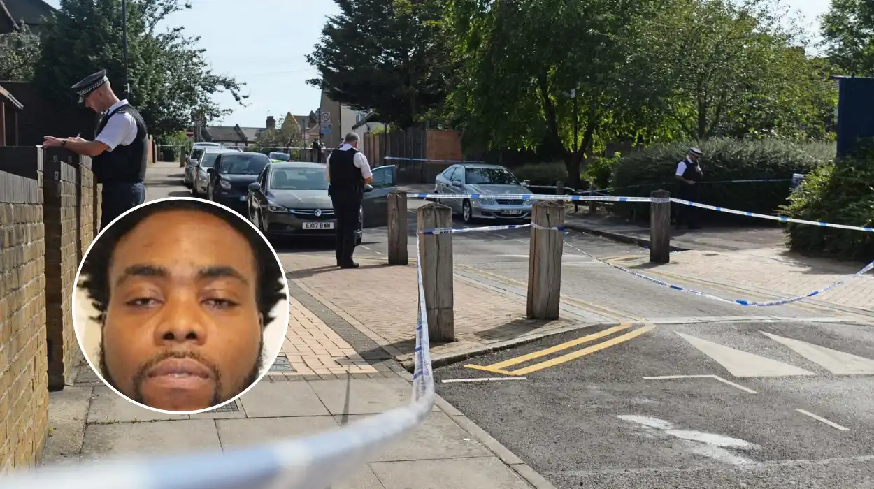 Tottenham Knife Attack: Devon Brown Convicted of Murder