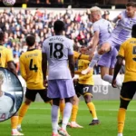 Tottenham Target Jan Paul van Hecke from Brighton