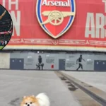 Arsenal to Reward Rock-Solid Defender with Bumper New Contract