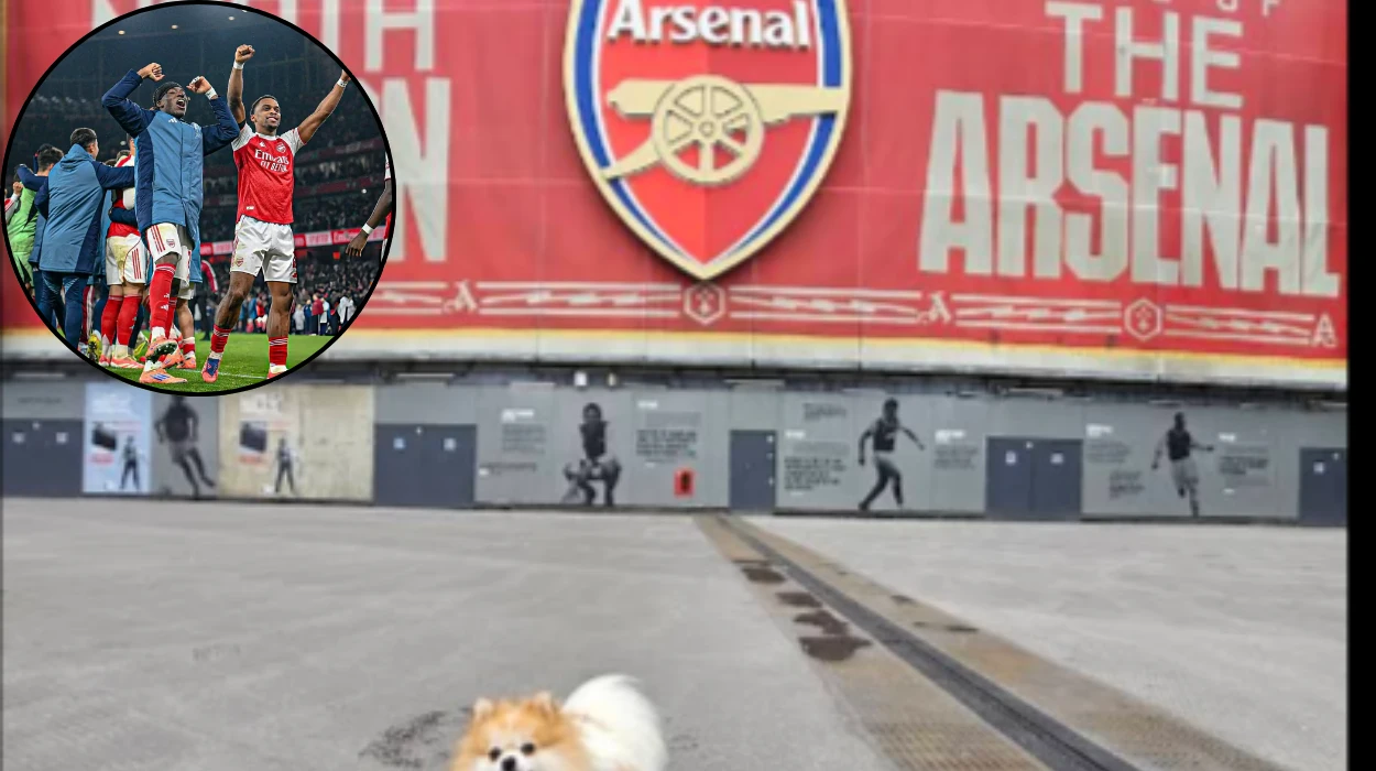 Arsenal to Reward Rock-Solid Defender with Bumper New Contract