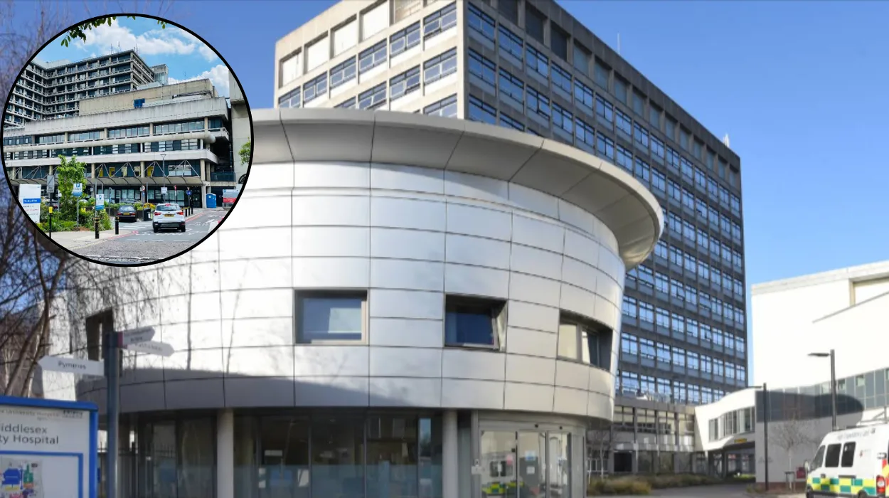 Comma-separated primaries aid on-page optimisation without stuffing.