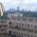 _Cumberbatch, Miliband Wife Lose Dartmouth Park Flats Fight