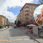 David Attenborough Meets Urban Foxes in North London Allotment