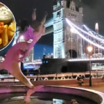 Discover the Best Takeaway Spots in North London for 2026 Cravings