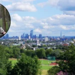 Juliette D'Souza Hampstead Shaman Conned Elite of £1m (BBC Exposé)