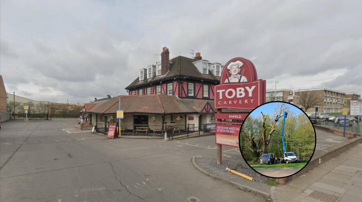Toby Carvery faces eviction over felled 500-year-old oak