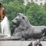 Top Art Galleries in North London Camden to Barnet