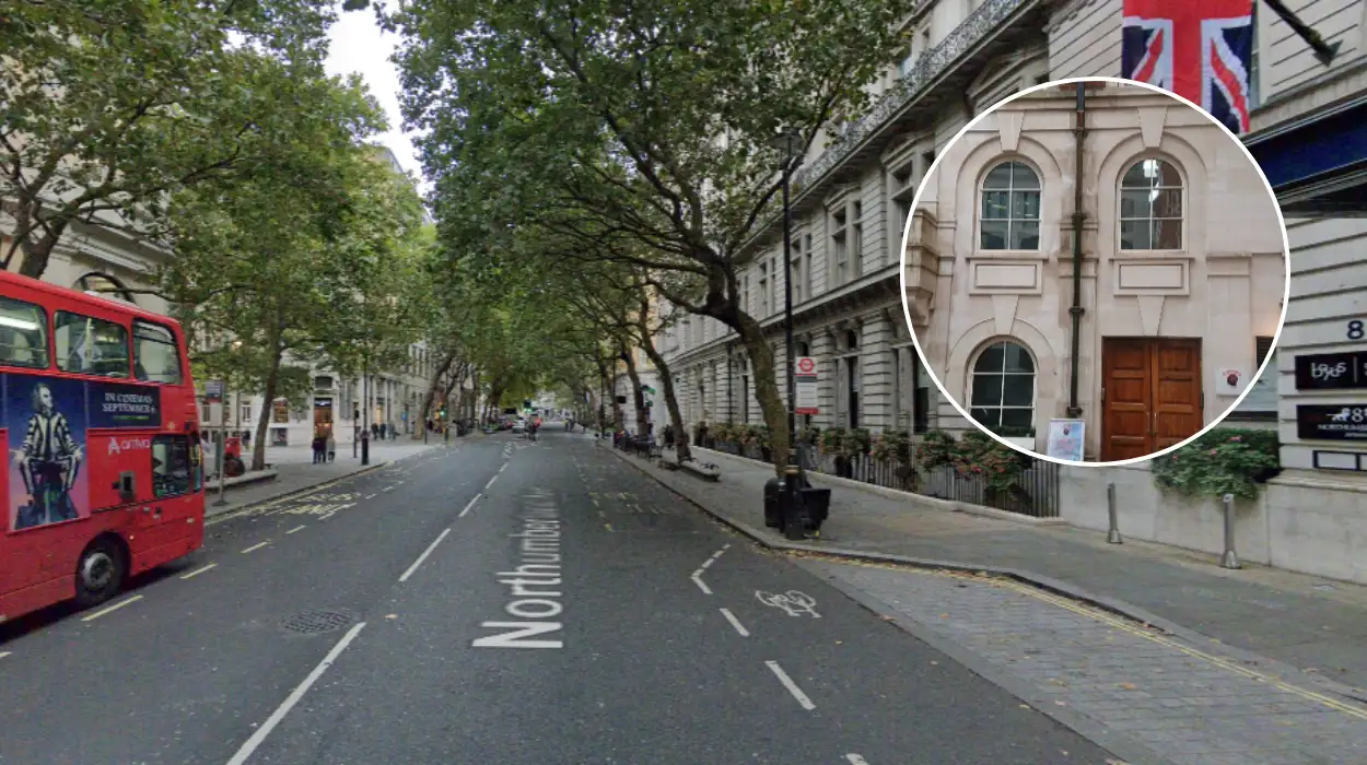 Top Museums in North London: British Museum, RAF, Hampstead Gems