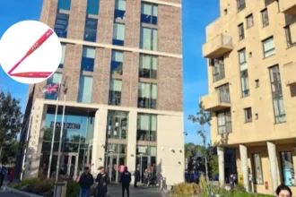 Barnet Foster Carers Plummet, No Shortcut Says Rawlings 2026