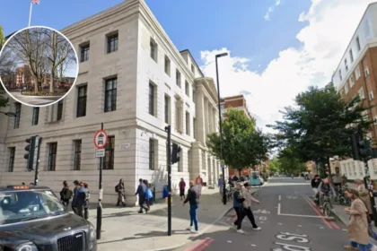 Camden Completes Polygon Road & Purchese Street Open Spaces 2026