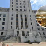 Camden Council Seeks Library Feedback in Feb