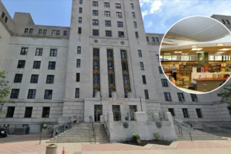 Camden Council Seeks Library Feedback in Feb