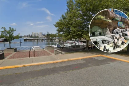 Camden Firefighter Dies in Delaware River Fall at Wiggins Park