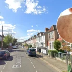 Eleven Measles Cases Confirmed in Haringey Amid North London Outbreak 2026