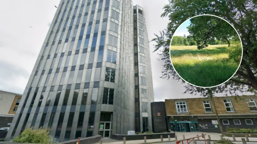 Enfield Council Maps Omit Whitewebbs Park Amid Spurs Row 2026