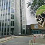 Enfield Council Shifts Meridian Water to Private Developers