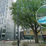Enfield OKs Surf Lake by Surf London at Lee Valley 2026