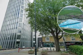 Enfield OKs Surf Lake by Surf London at Lee Valley 2026