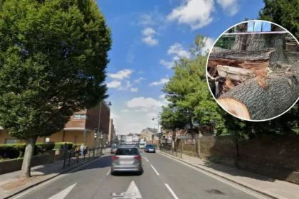 Enfield Toby Carvery Fells Live Ancient Oak 2026