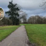 Healthy Ancient Oak Felled at Toby Carvery Whitewebbs Park 2026