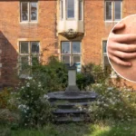 Measles Outbreak Hits Enfield Schools, 60+ Children Infected 2026