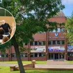 North London Adult Education: Classes in Camden, Islington & Barnet