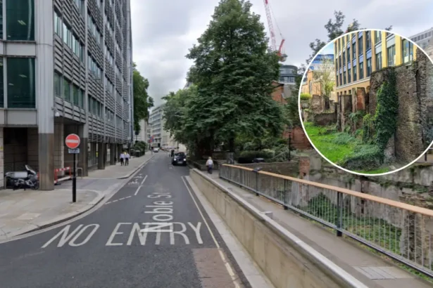 North London Local History Romans to Victorian Suburbs Guide