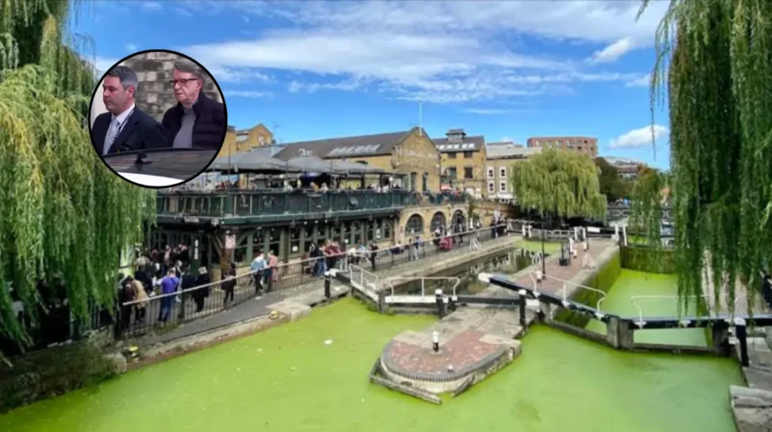 Peter Mandelson Arrest vs Andrew: Camden 2026