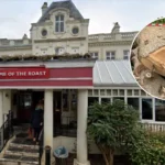 Toby Carvery Apologises for Felling Ancient Oak in Whitewebbs Park