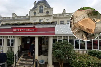 Toby Carvery Apologises for Felling Ancient Oak in Whitewebbs Park