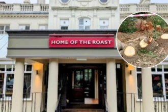 Toby Carvery Fells 500-Yr Oak in Enfield 2026