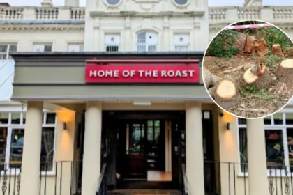 Toby Carvery Fells 500-Yr Oak in Enfield 2026