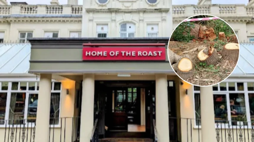 Toby Carvery Fells 500-Yr Oak in Enfield 2026