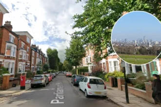 Top Dog-Friendly Parks in North London: Hampstead Heath & More