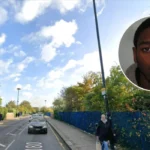 Two Charged in 2024 Haringey Stabbing Murder